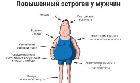 Взаимосвязь гормональных изменений и возникновения целлюлита