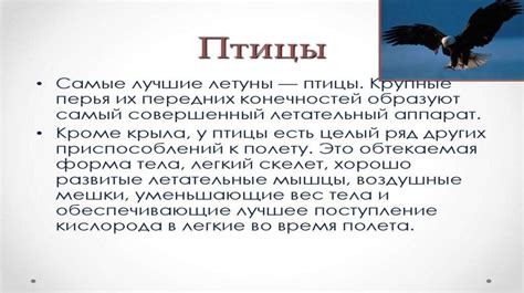 Взаимосвязь животных жиров и организма: важность понимания последствий
