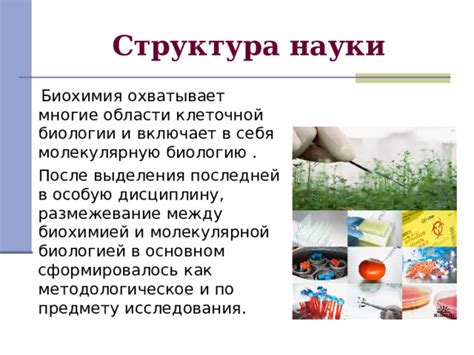 Взаимосвязь между биохимией питания и состоянием психики