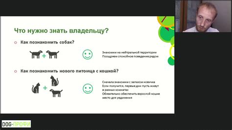 Взаимосвязь между недостатком общения и активности и изменением поведения домашних питомцев