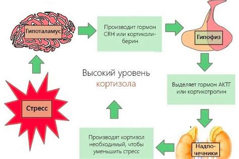 Взаимосвязь стресса и ограниченной свободы дыхания