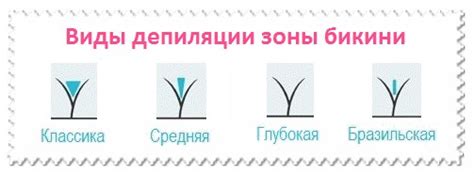 Виды глубокого бикини