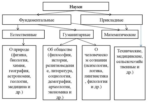 Виды и особенности классификации катапульт