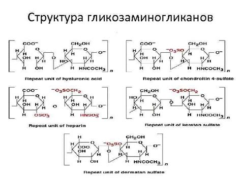 Виды и структура гликозаминогликанов