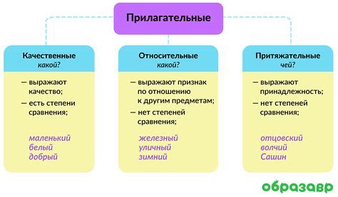 Виды прилагательных: особенности и классификация слов