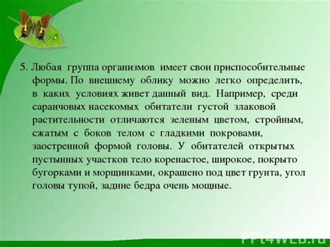 Визуальная оценка профиля тела: что можно сказать по внешнему облику