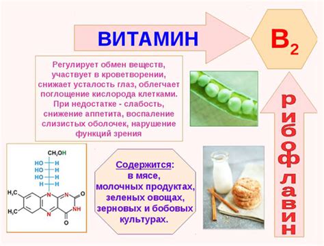 Витамин Б2: неотъемлемый аспект здоровья женского организма