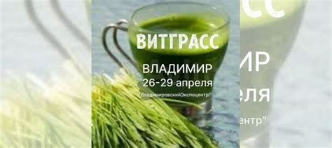 Витграсс - идеальный компонент для свежих соков и здоровых смузи