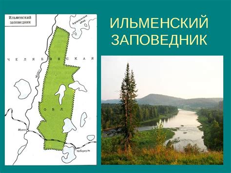 Вклад образования Ильменского заповедника в сохранение экологического равновесия