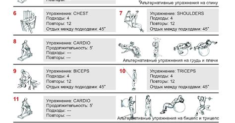 Включение функциональных тренировок в программу для улучшения силы и координации движений