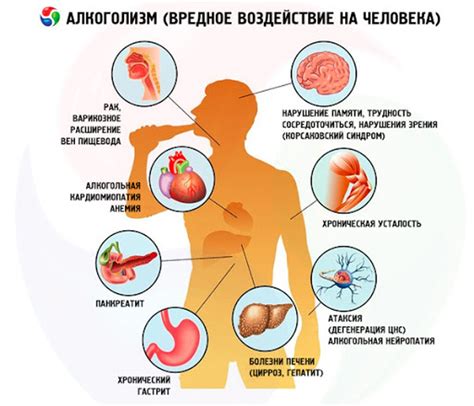 Влияние Асидола на организм: суть действия и его эффекты