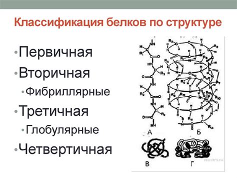 Влияние аминокислотного состава на растворимость молекул глобулярных и фибриллярных структур белков