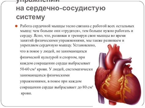 Влияние анаприлина на функционирование сердечной мышцы: основные аспекты