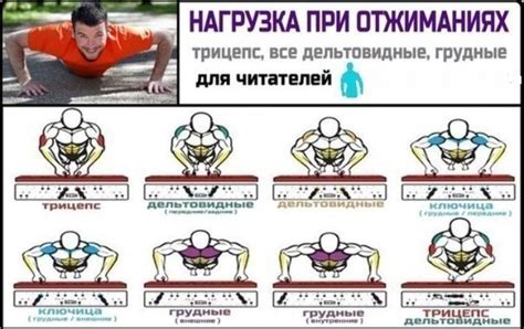 Влияние брусьев и отжиманий на разные группы мышц: глубокий анализ