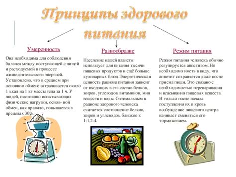 Влияние вечернего рациона питания на обмен веществ