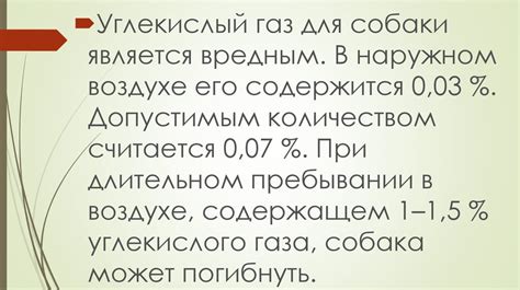 Влияние внешних факторов на здоровье собак