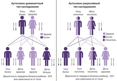 Влияние возрастных особенностей и генетического наследования на появление носогубок