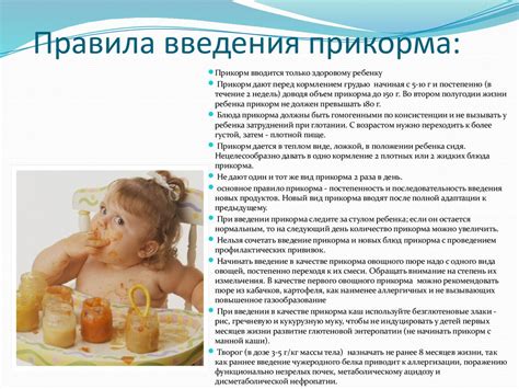 Влияние воспитательного введения продуктов питания на рацион ребенка