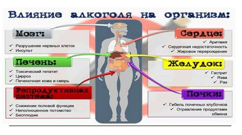 Влияние гликации на организм