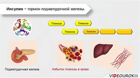 Влияние глюкозы в капельнице на обменные процессы в организме взрослых пациентов
