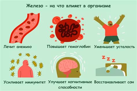 Влияние железа на состояние кожи: почему он важен для организма