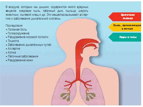 Влияние загрязнения воздуха на здоровье населения