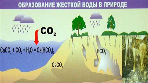 Влияние избыточной жесткости воды на образование и накопление отложений