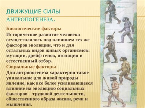 Влияние культурного контекста на эволюцию образа русалок