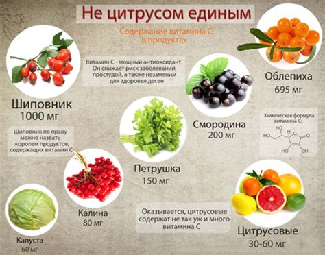 Влияние лимона на организм: мощный источник витамина С