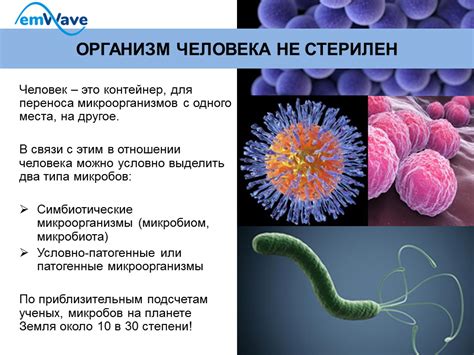 Влияние микроорганизмов на здоровье человека