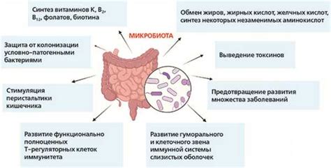 Влияние микроорганизмов на появление аромата в мясе