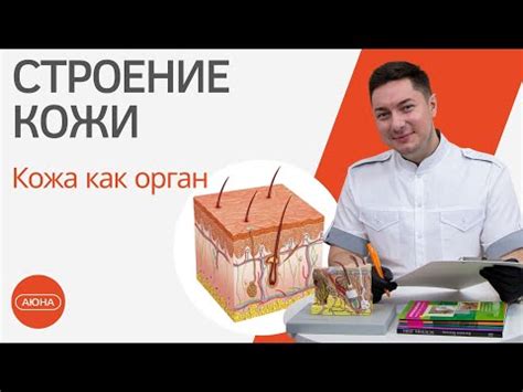 Влияние на внешний вид и состояние кожи