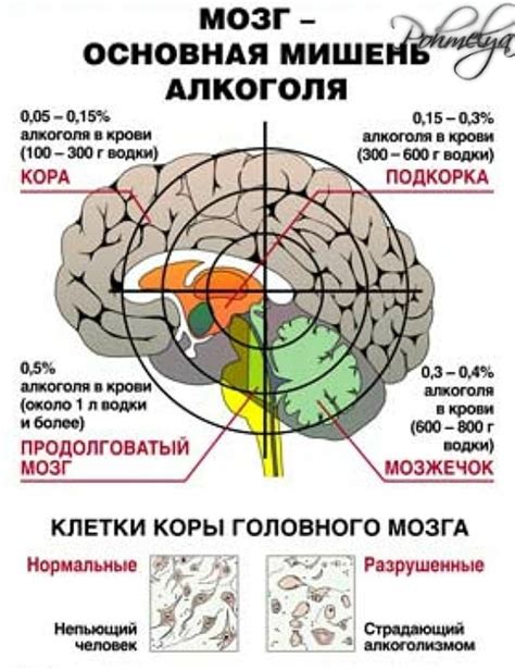 Влияние на мозг
