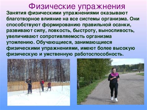Влияние на общую физическую выносливость и работоспособность