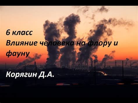 Влияние на флору и фауну