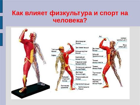 Влияние недобросовестных методов и средств на результаты спортсмена