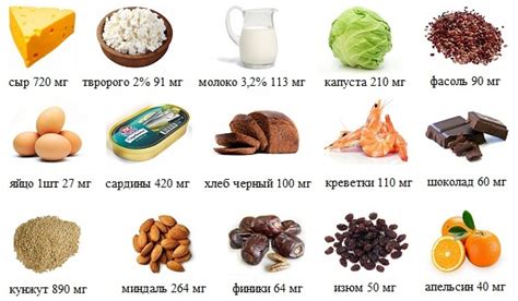 Влияние овсяной каши на содержание кальция в организме: научные исследования
