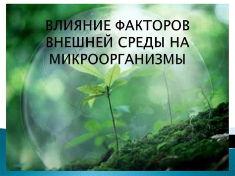 Влияние окружающей среды на поведение мулардов