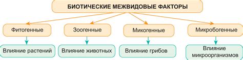 Влияние окружающей среды на усвоение стихотворений: поиск оптимальных подходов
