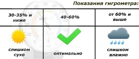 Влияние осушителя воздуха на уровень влажности в помещении