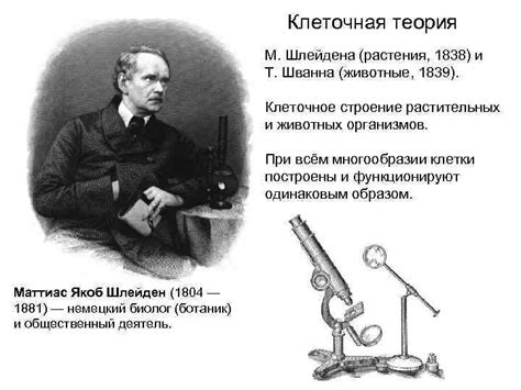 Влияние открытий Т. Шванна и М. Шлейдена на современную науку