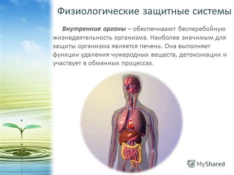 Влияние повседневного напряжения на защитные функции организма