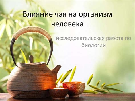 Влияние потребления безсахарного чая на снижение калорийности и поддержание здорового веса