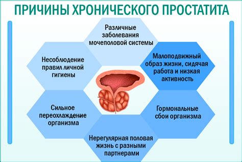Влияние простаты на мужское здоровье и функцию размножения