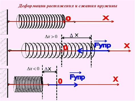 Влияние размера и силы пружины на комфортное движение питомца