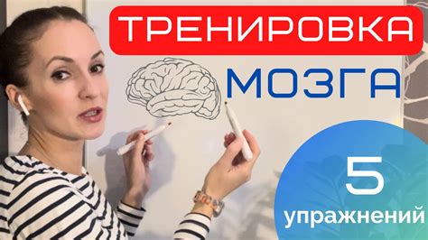 Влияние регулярной тренировки мозга на четкость мысли