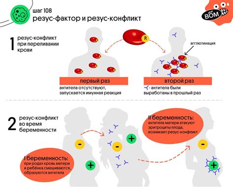 Влияние резус-конфликта на здоровье матери