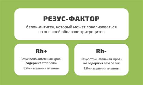 Влияние резус-фактора на здоровье и иммунитет