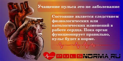Влияние сердечного ритма на состояние организма