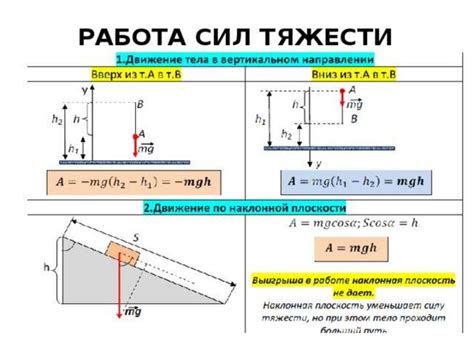 Влияние сил тяжести на разнообразие способов движения